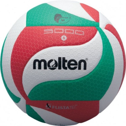 Võrkpalli pallid