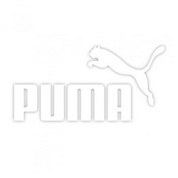 Puma ilma taustata kleebis 15 x 8 cm