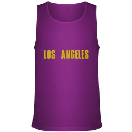 Los-Angeles korvpallisärk