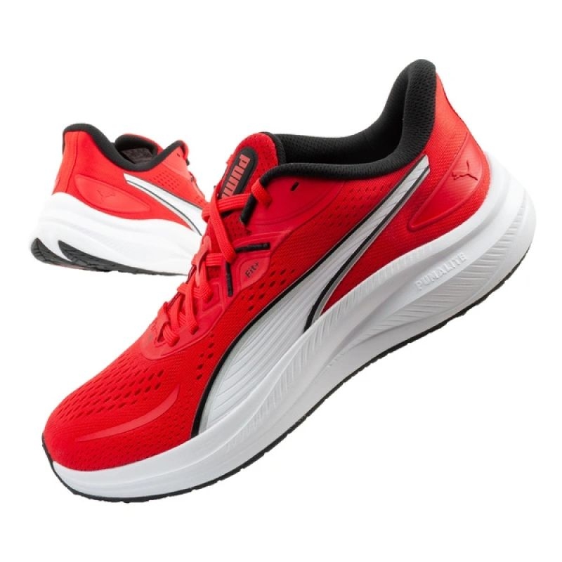 Puma kingad