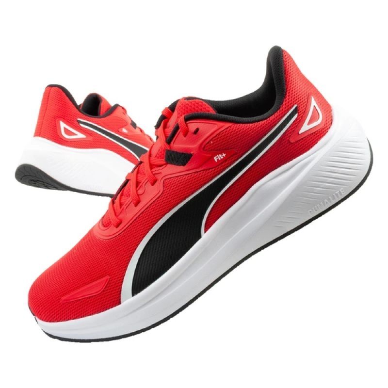 Puma kingad