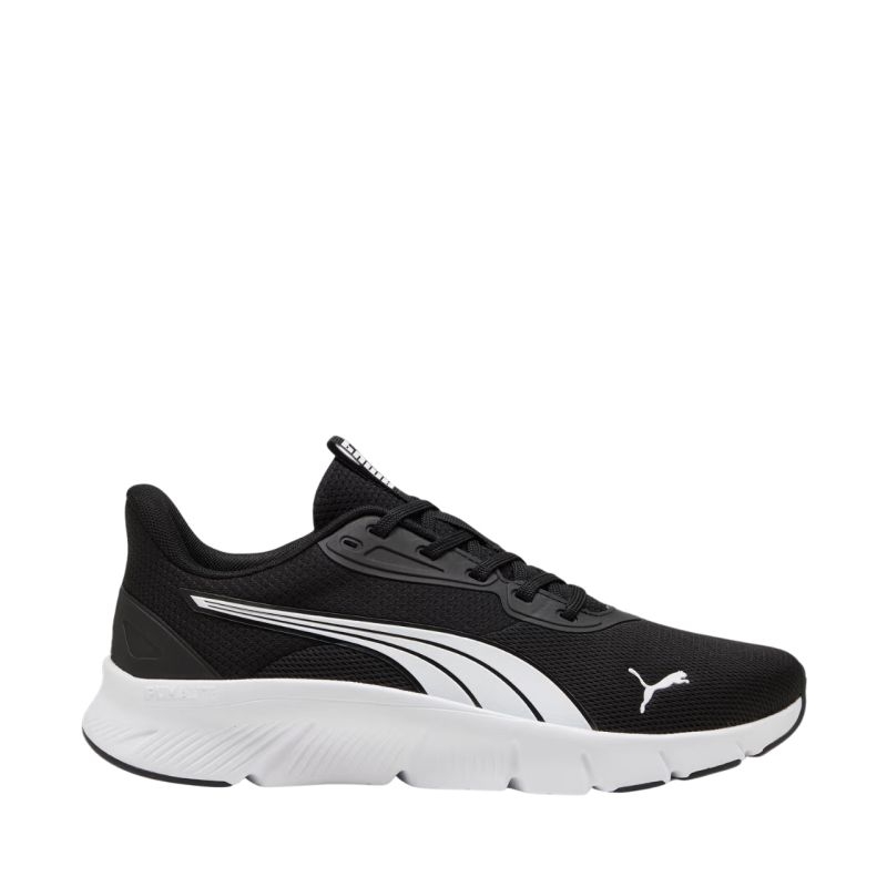 Puma kingad
