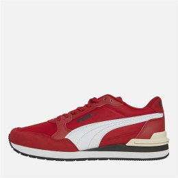 Puma kingad