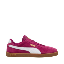 Puma kingad