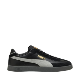 Puma kingad