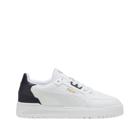 Puma kingad