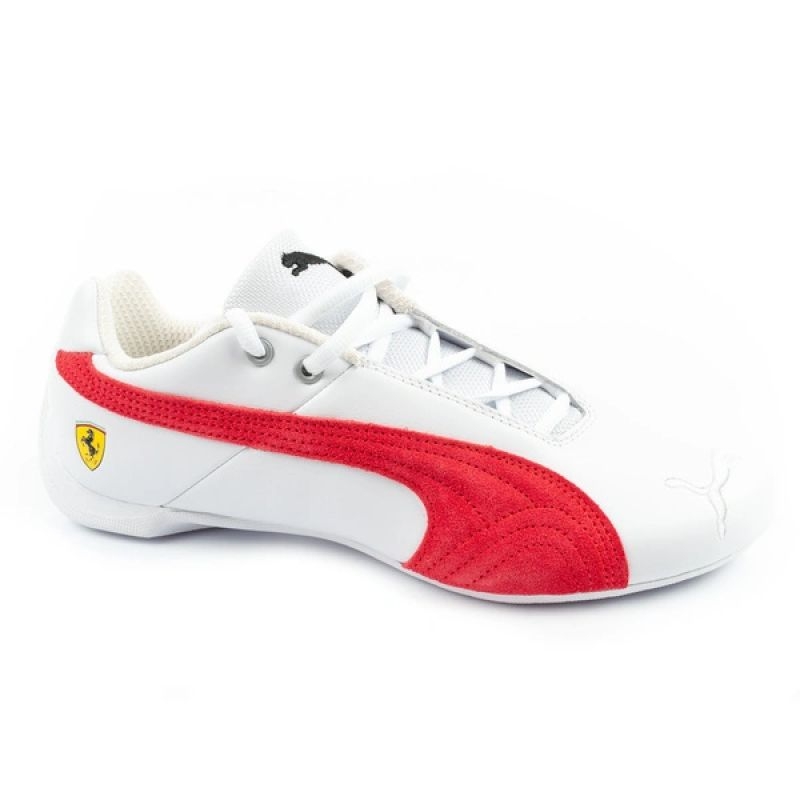 Puma kingad