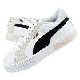 Puma kingad