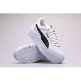 Puma kingad