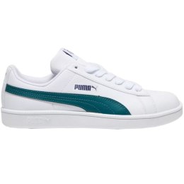 Puma kingad