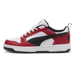 Puma kingad