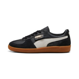 Puma kingad